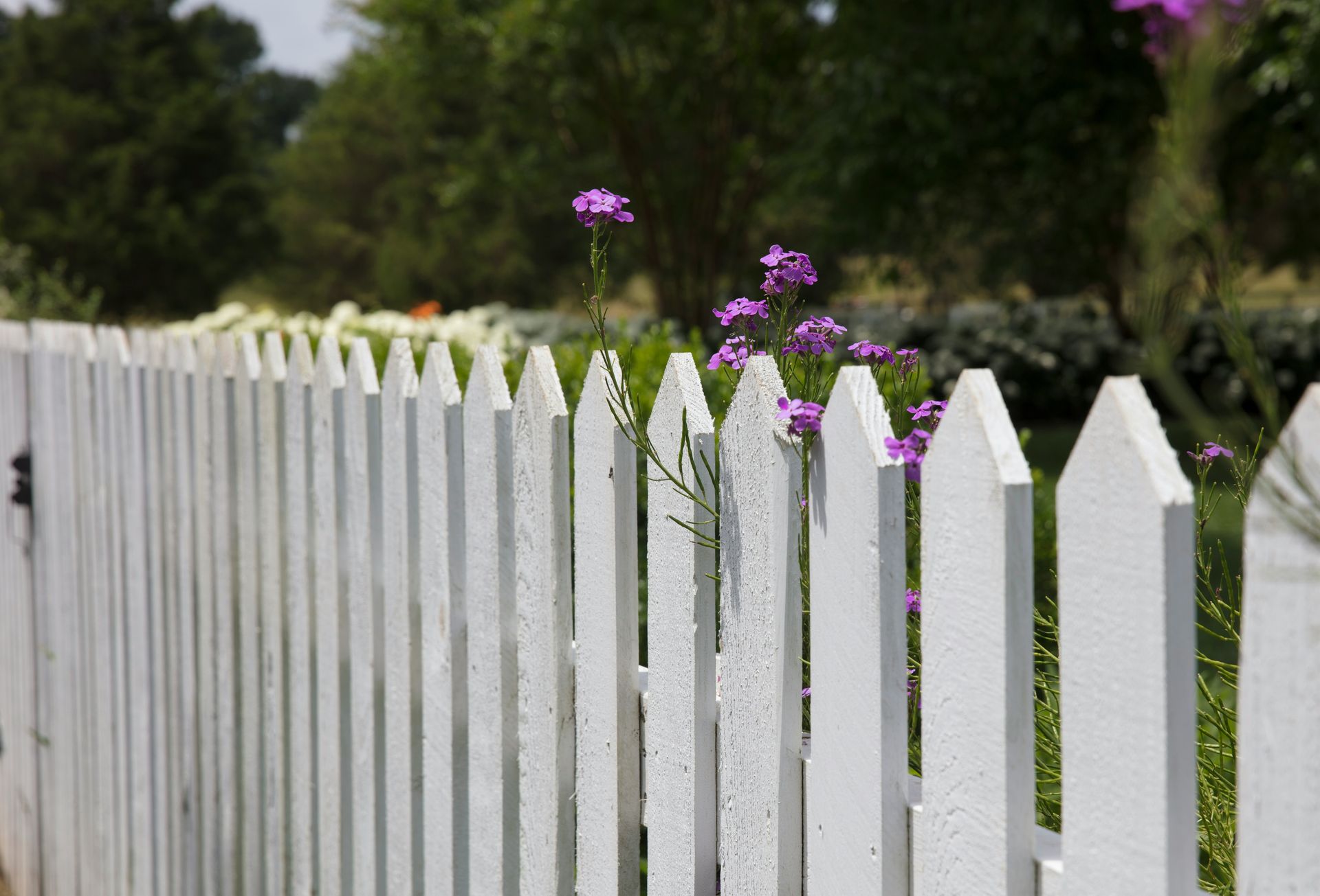 Fence Contractor in Kirklin, IN | APEX FENCE